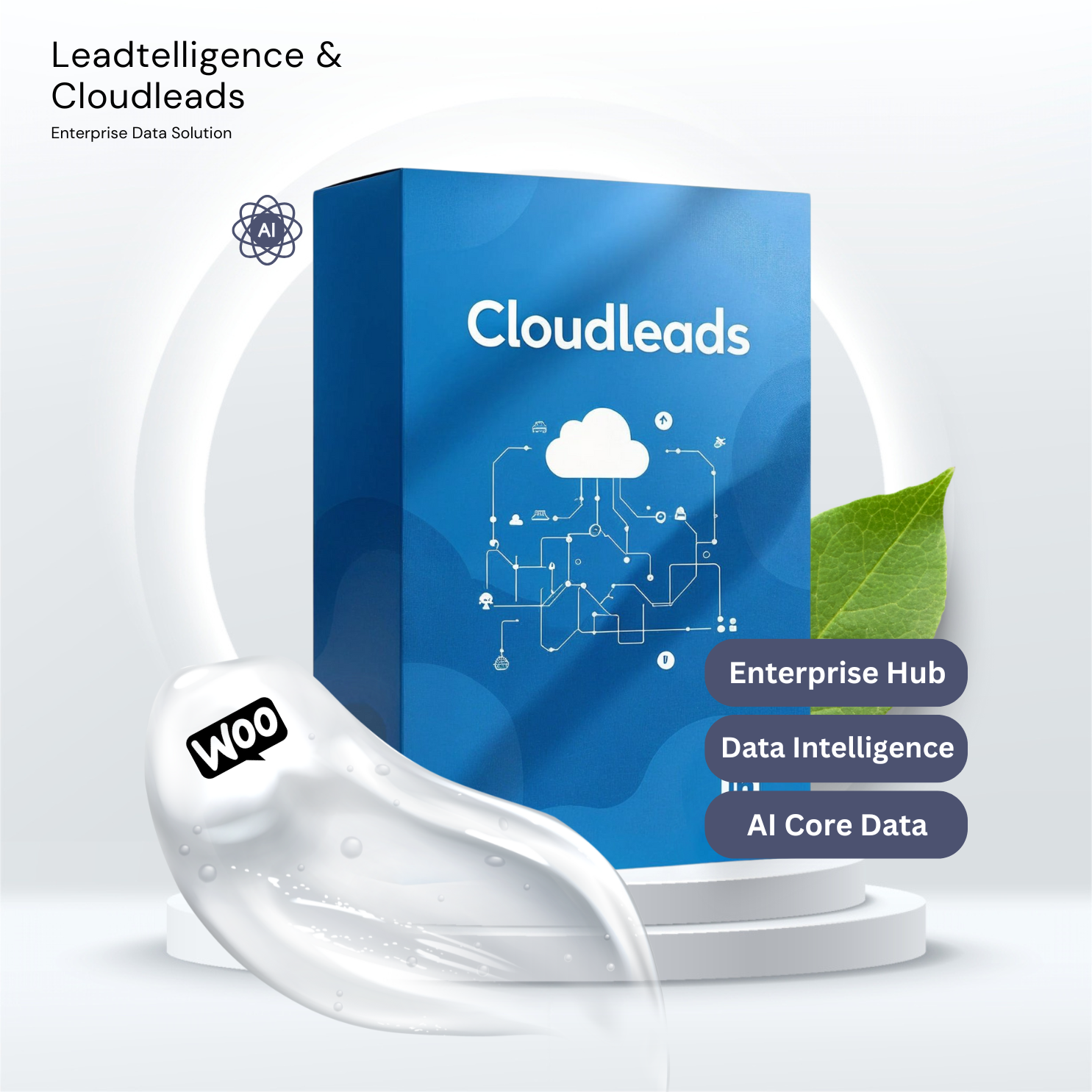 CloudLeads E-commerce Plus Shopify, Woocommerce Deutschland