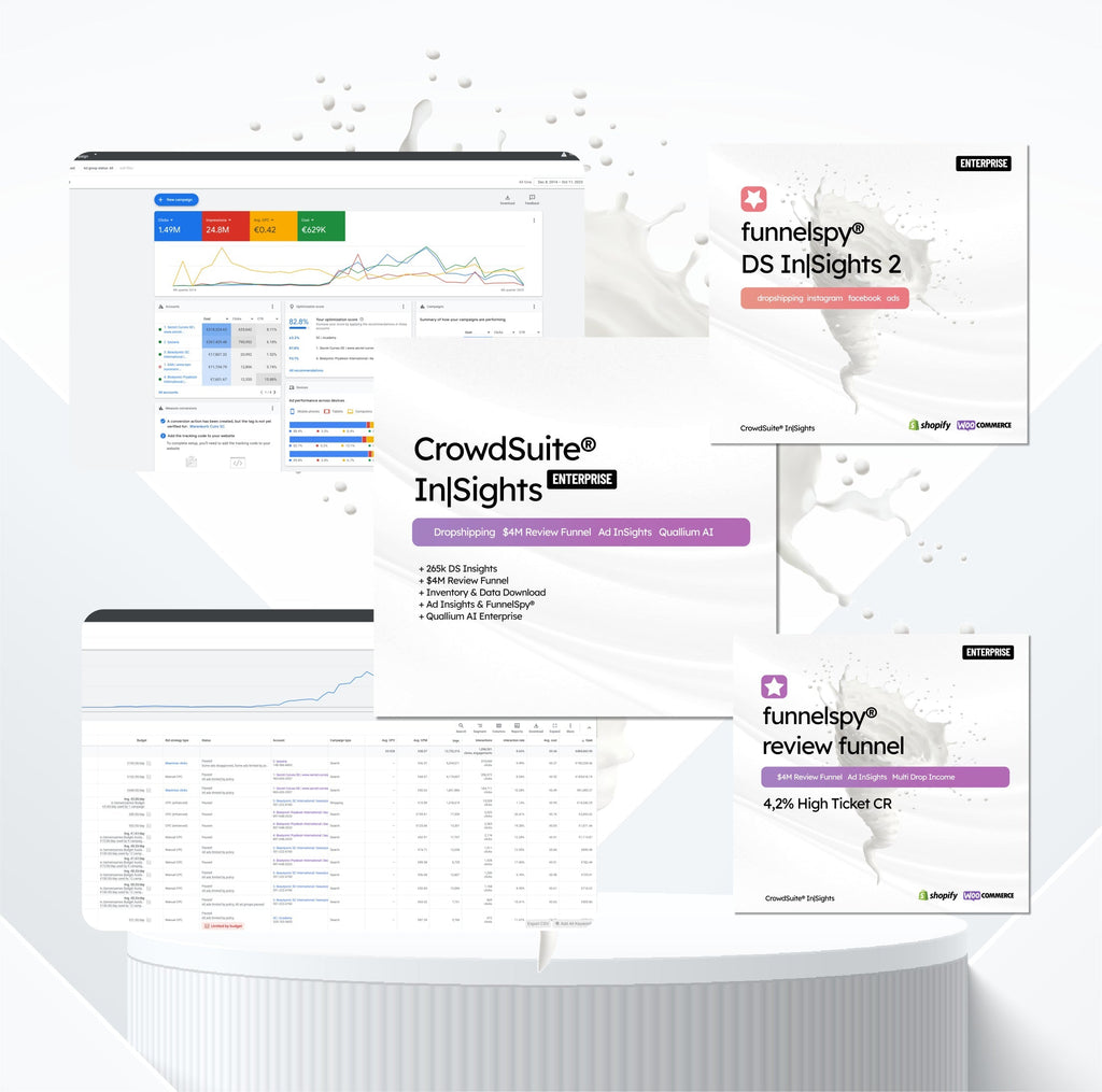 CrowdSuite® CSX In|Sights 265.000€ Dropshipping-Store Coaching Box